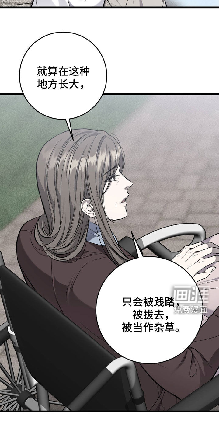 第117话14