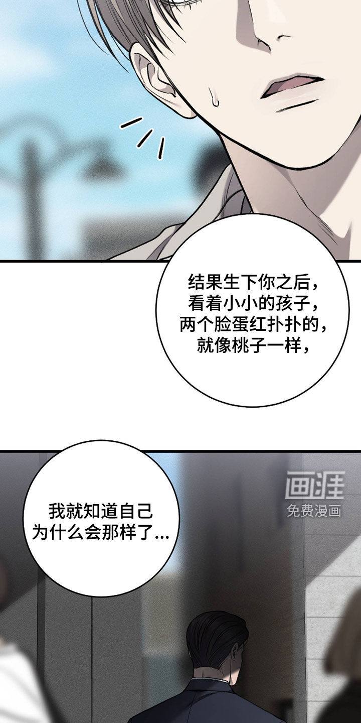 第117话17