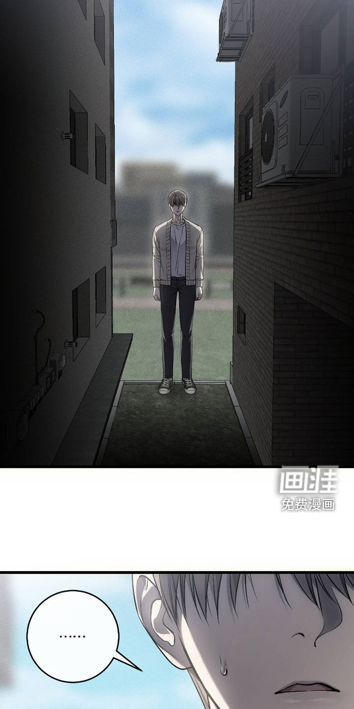 第117话23