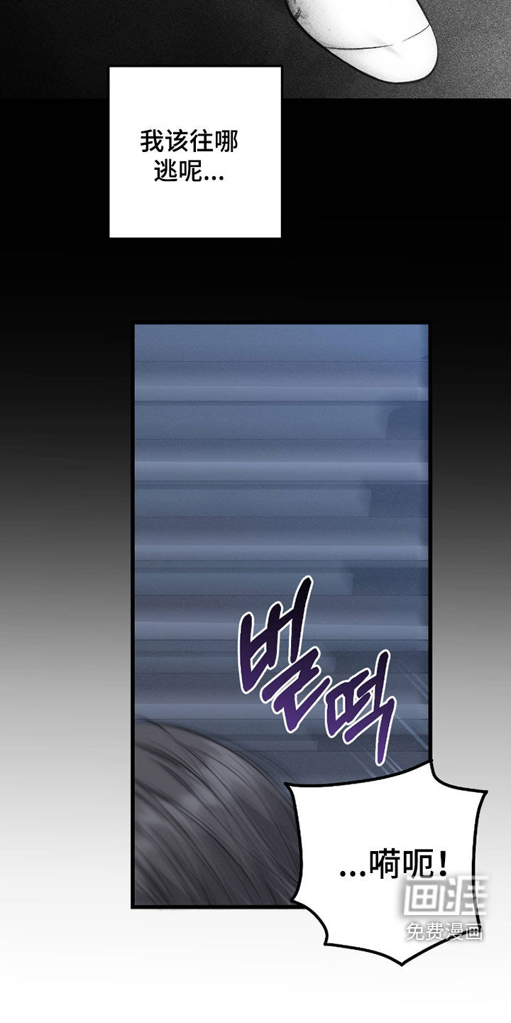 第116话5