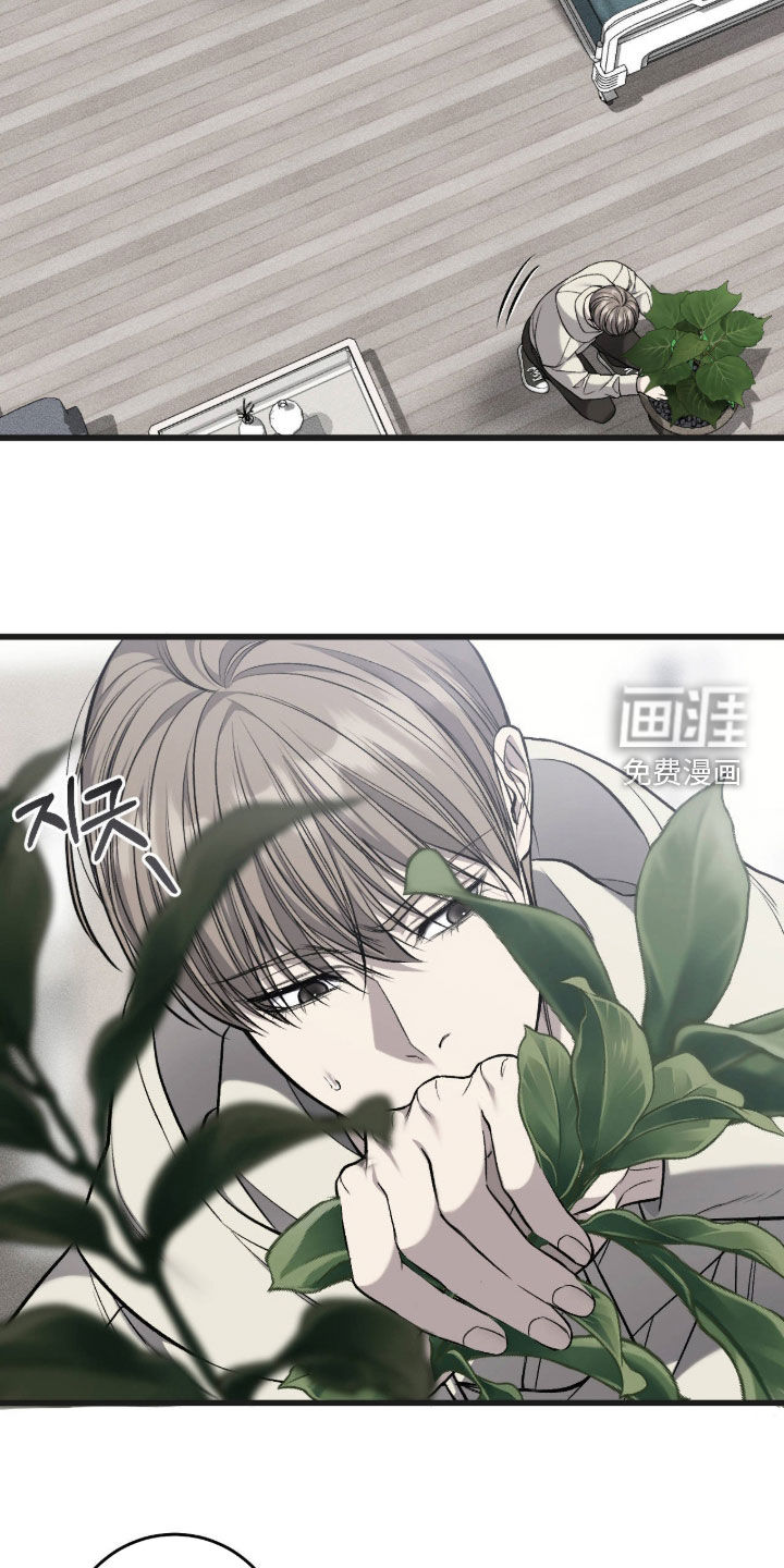 第114话1