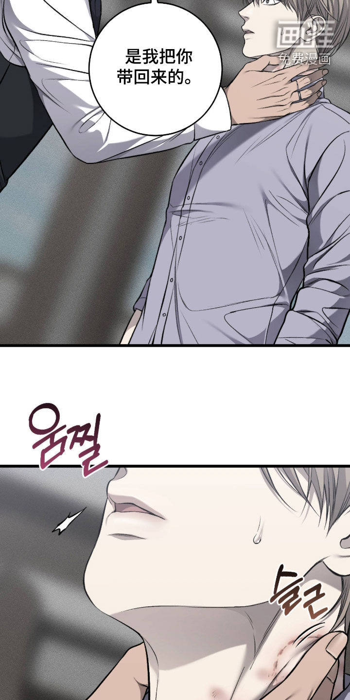 第110话11