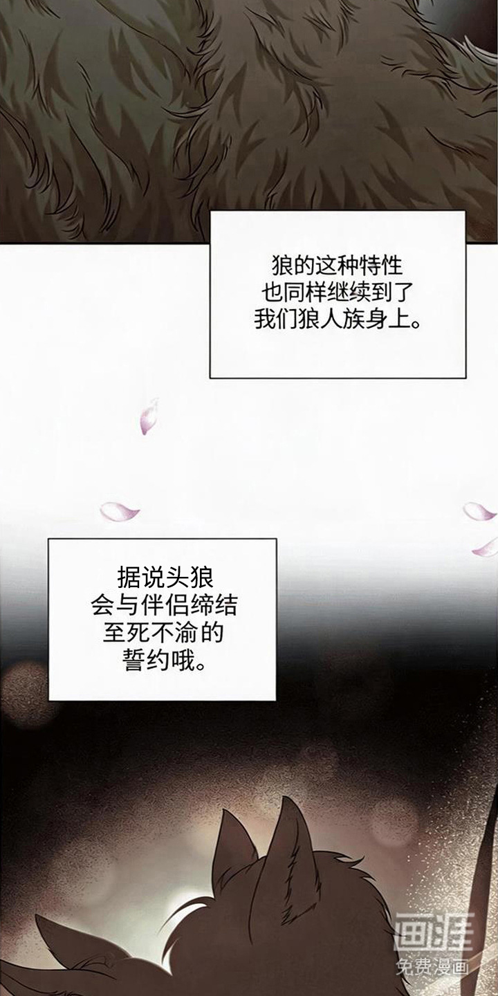 第14话1