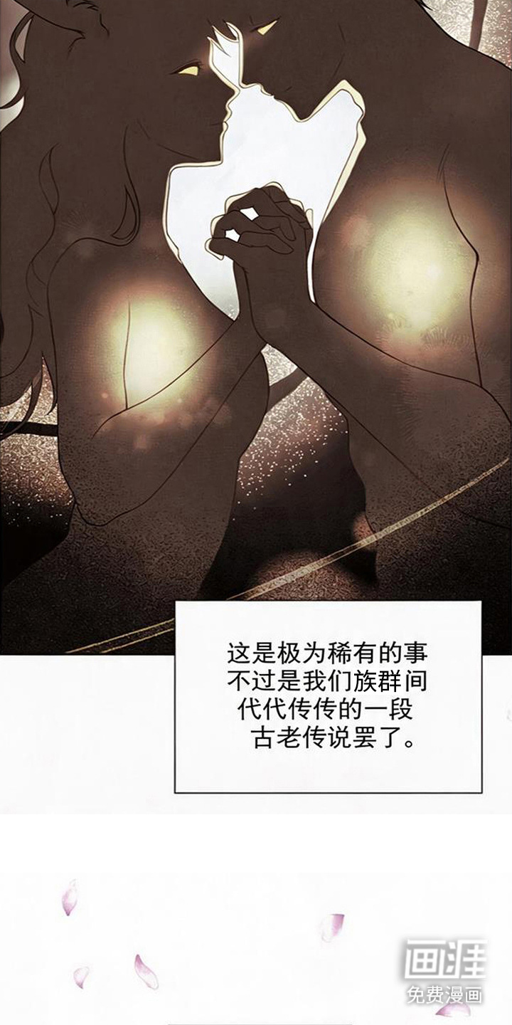第14话2