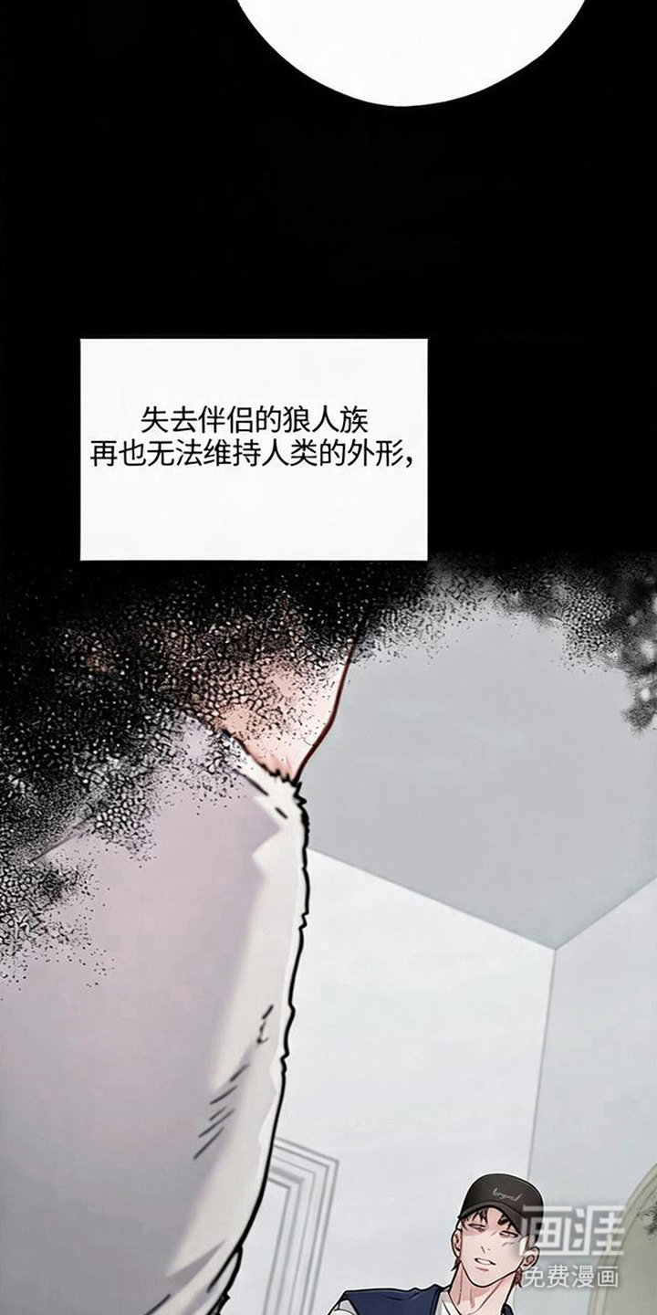 第14话8