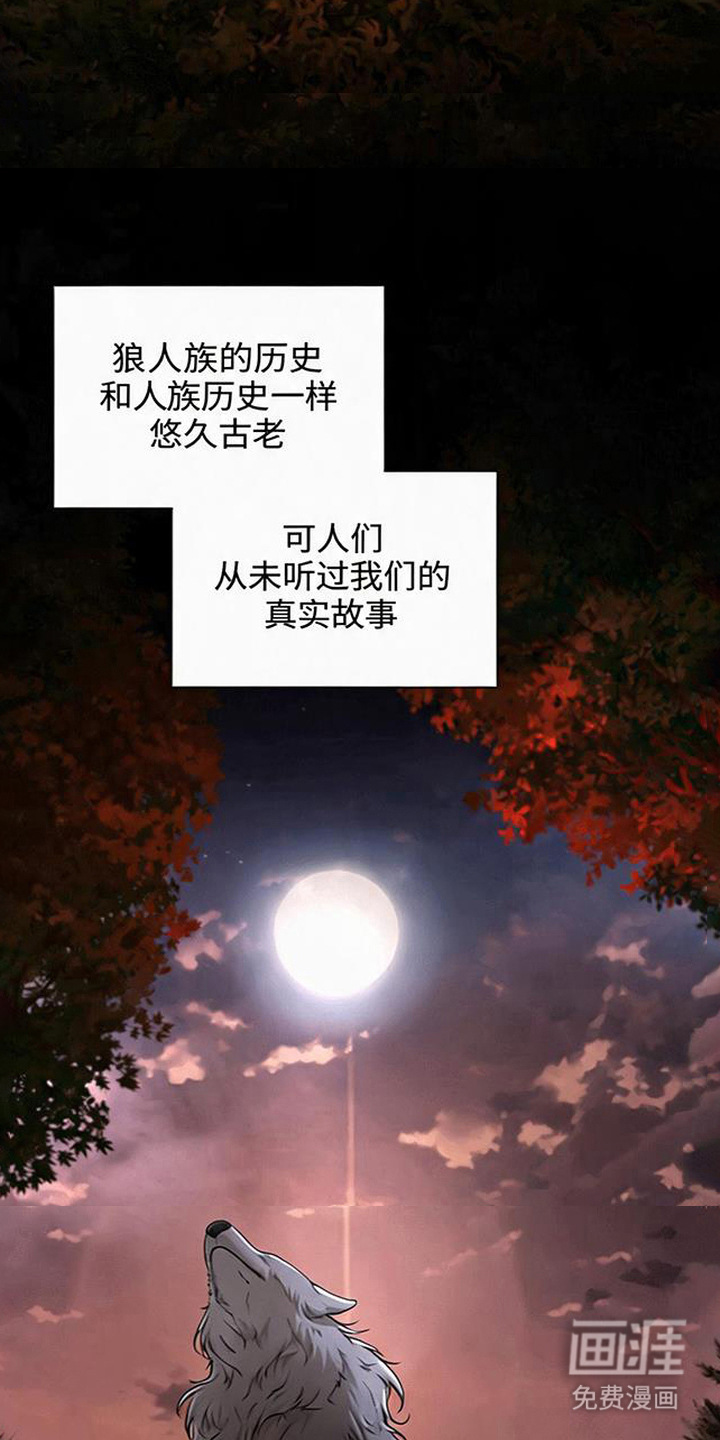 第13话11