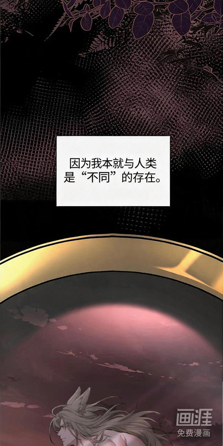 第13话14