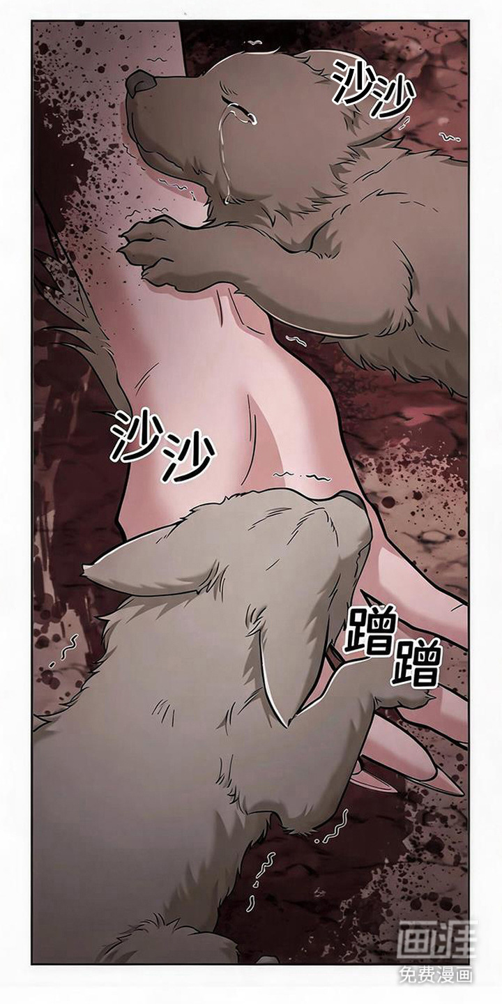 第13话20