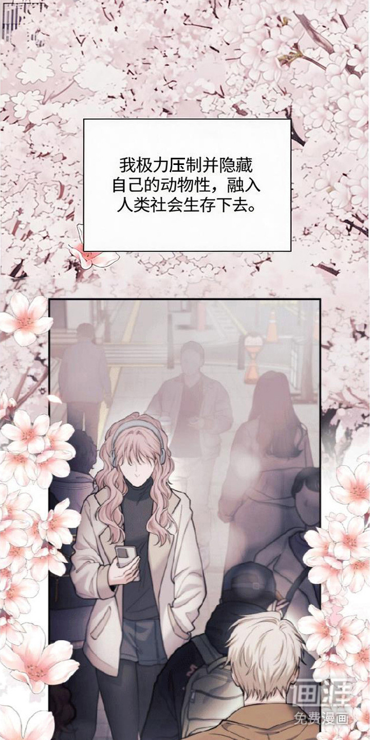 第13话22