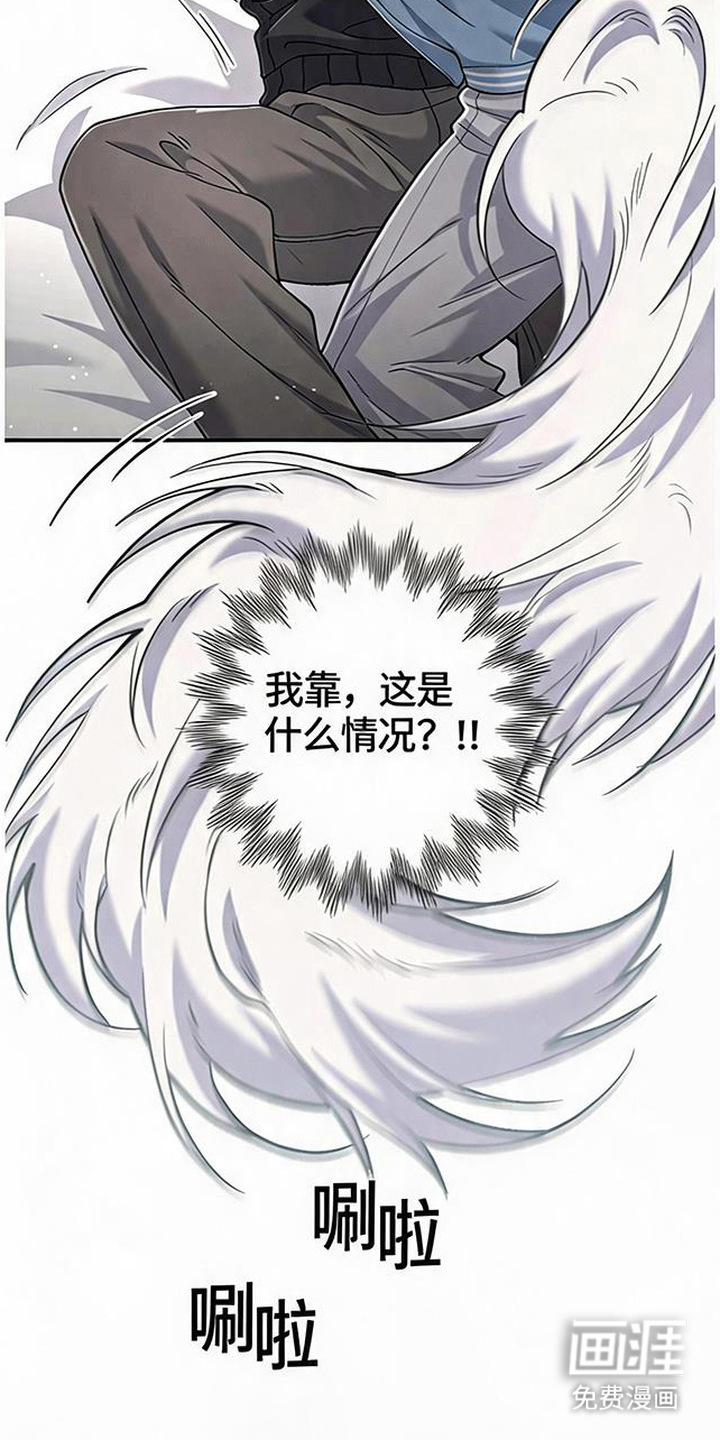 第13话9