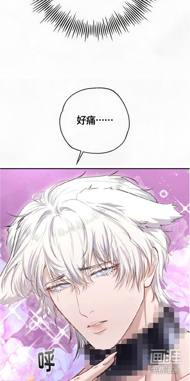 第7话3