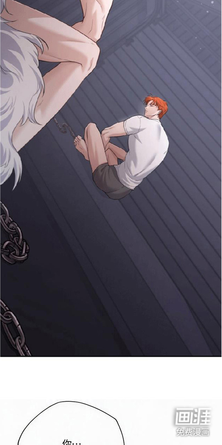 第5话11