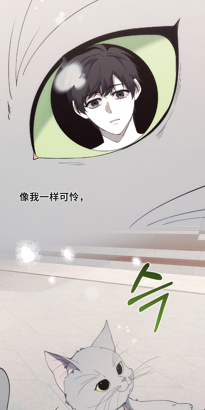 第79话27