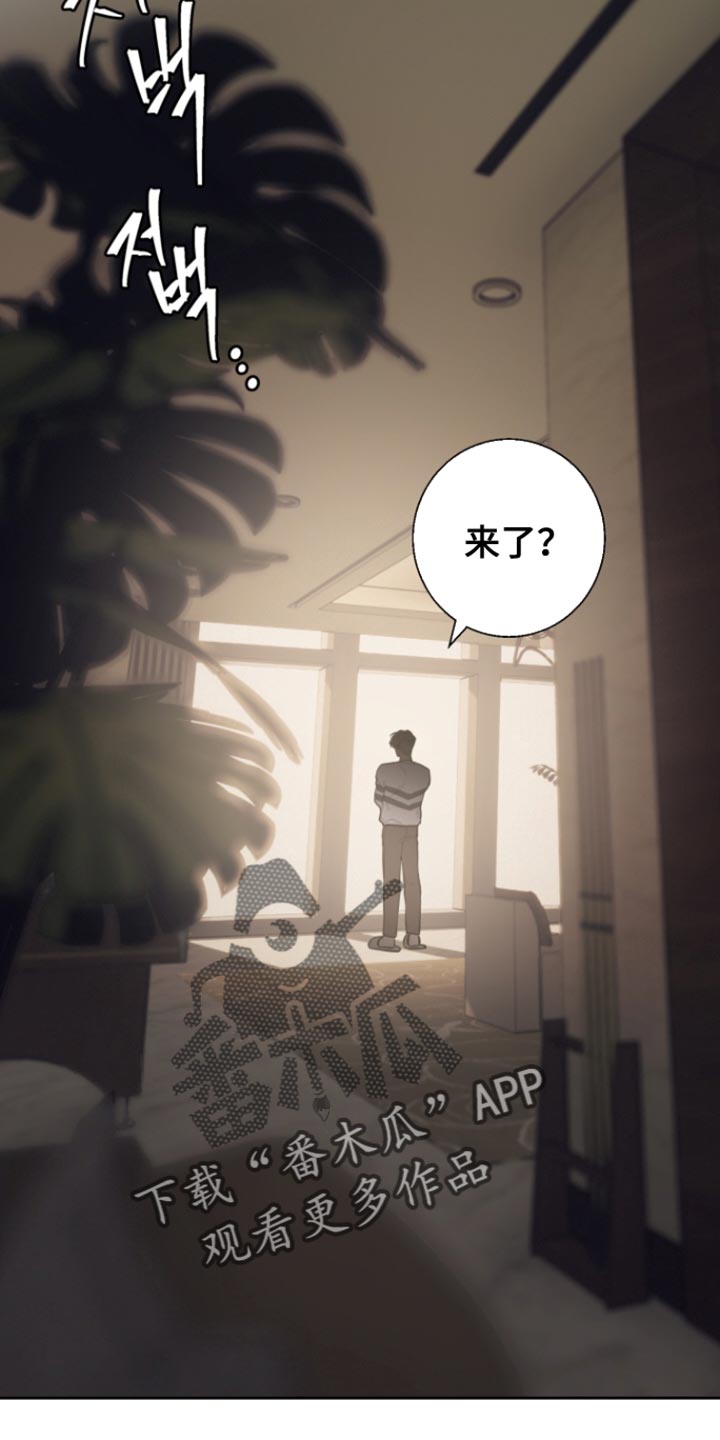 第41话12