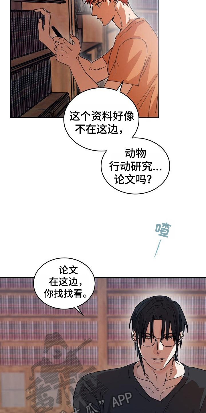 第13话12