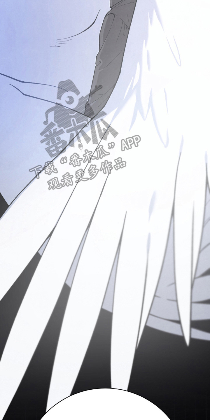 第14话9