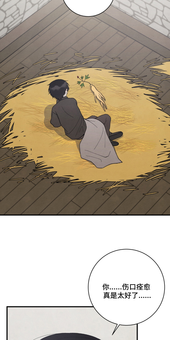 第11话11