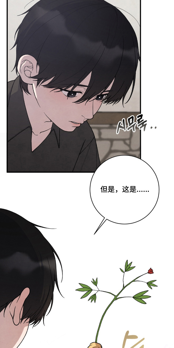 第11话12
