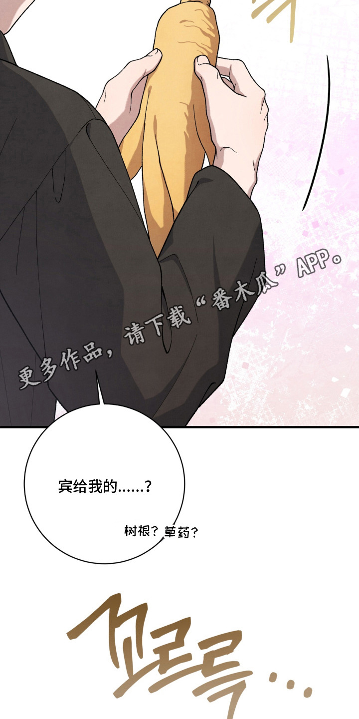 第11话13
