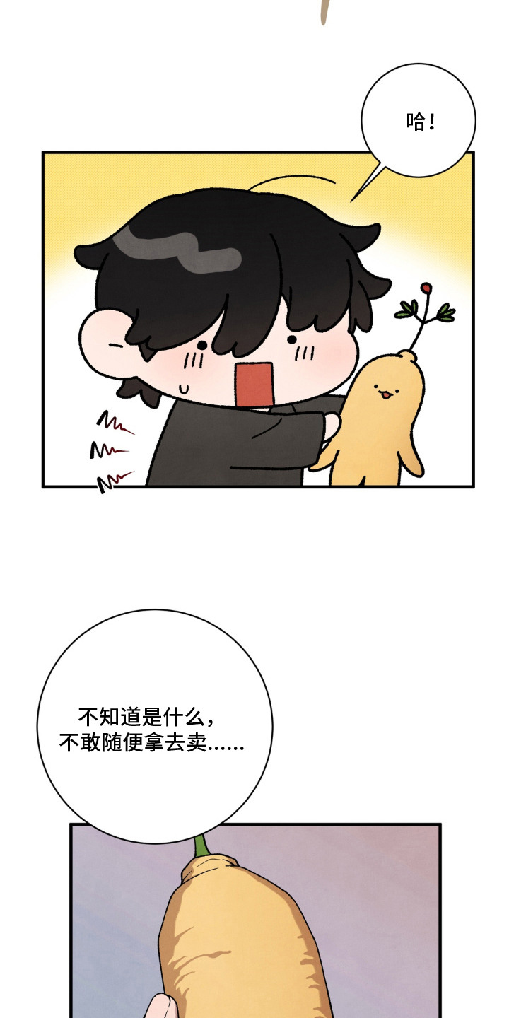第11话14