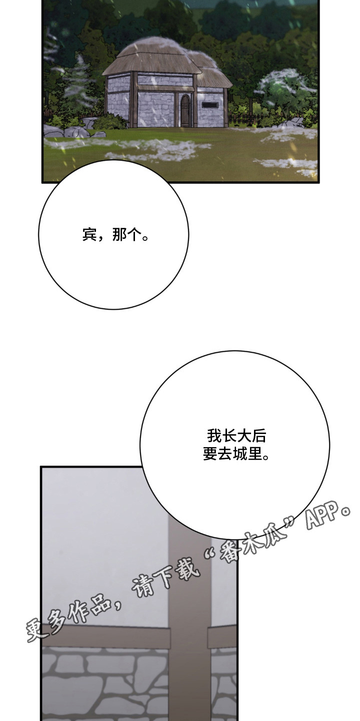 第11话5