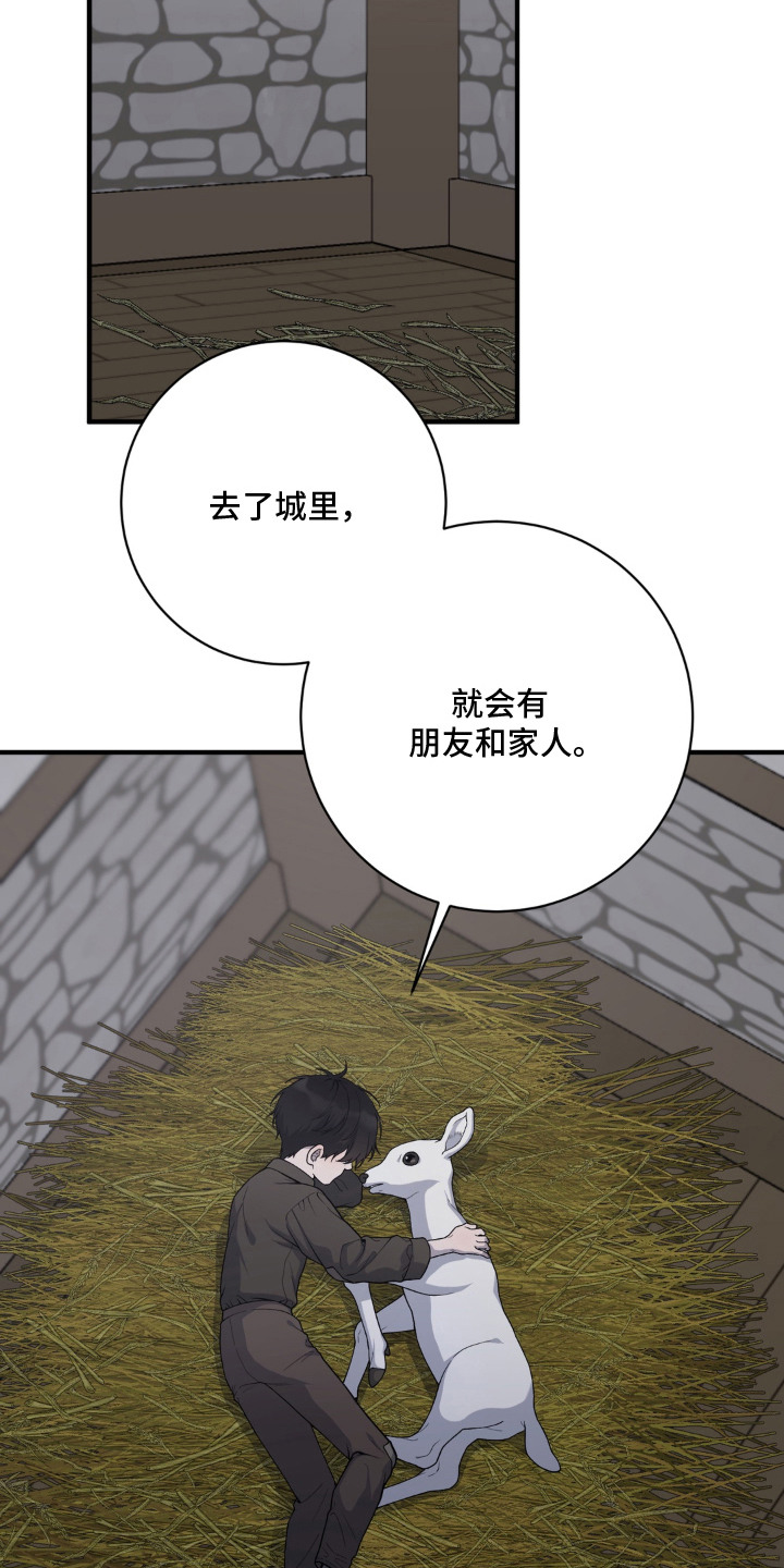第11话6