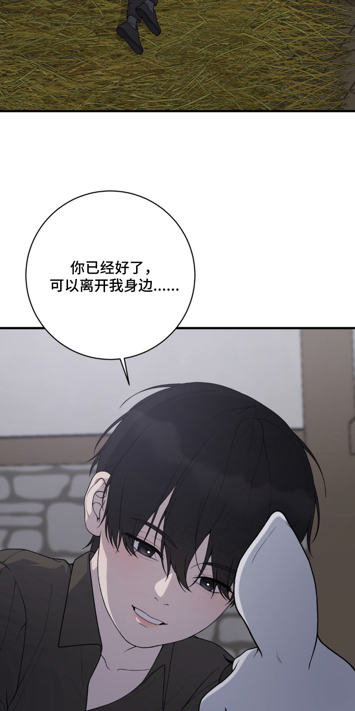 第11话7