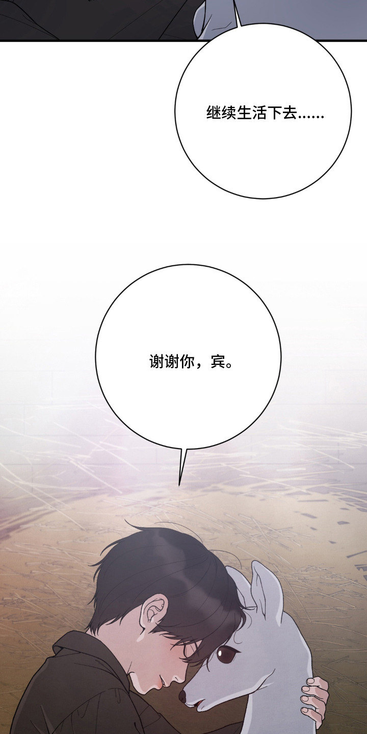 第11话8