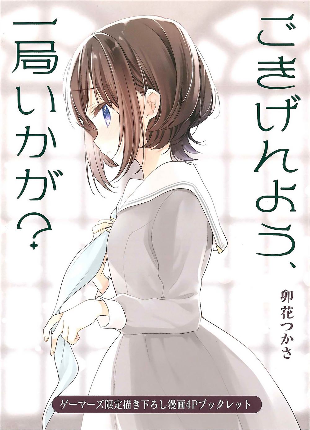 一卷gamers特典0
