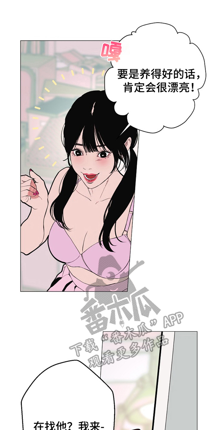 第25话11