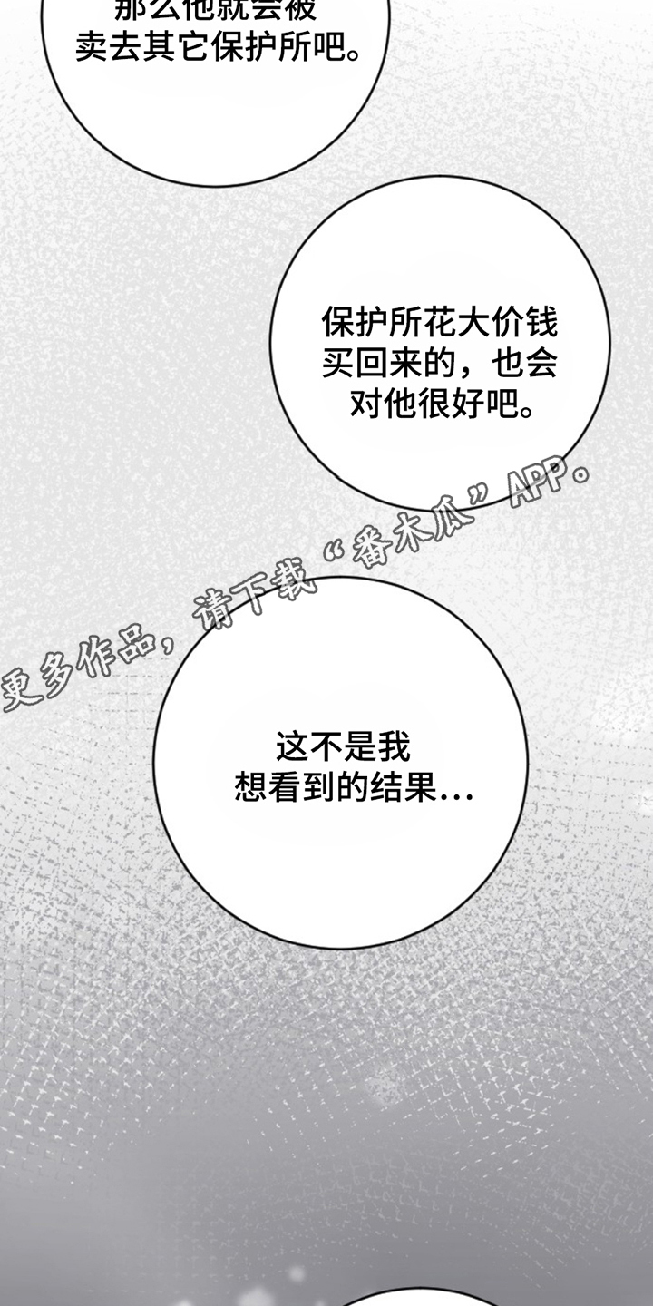第17话13