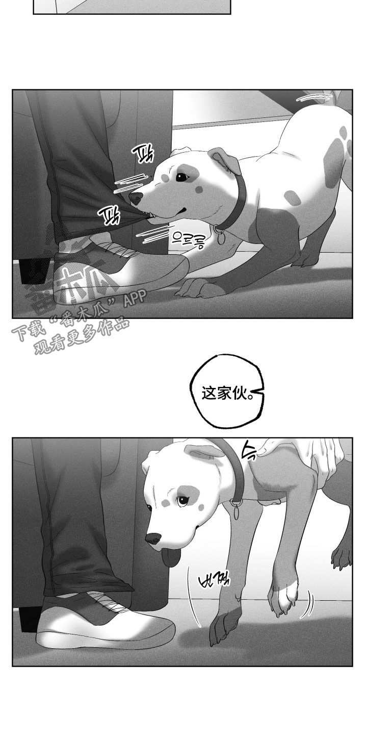 第137话5