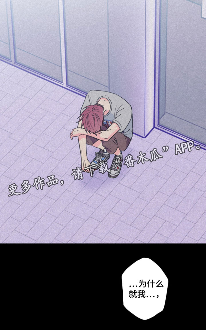 第117话20