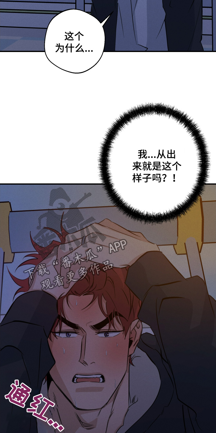 第126话4