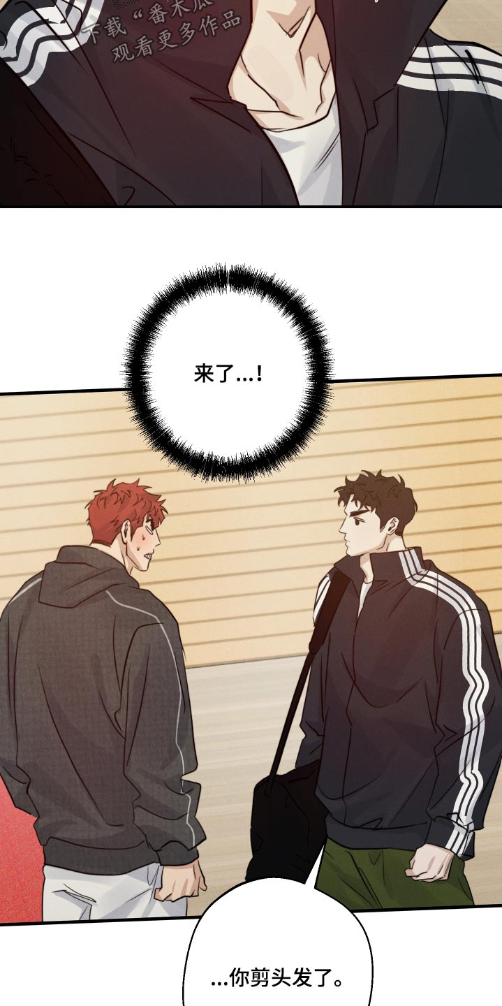 第95话9