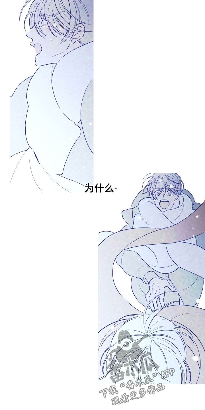 第95话20