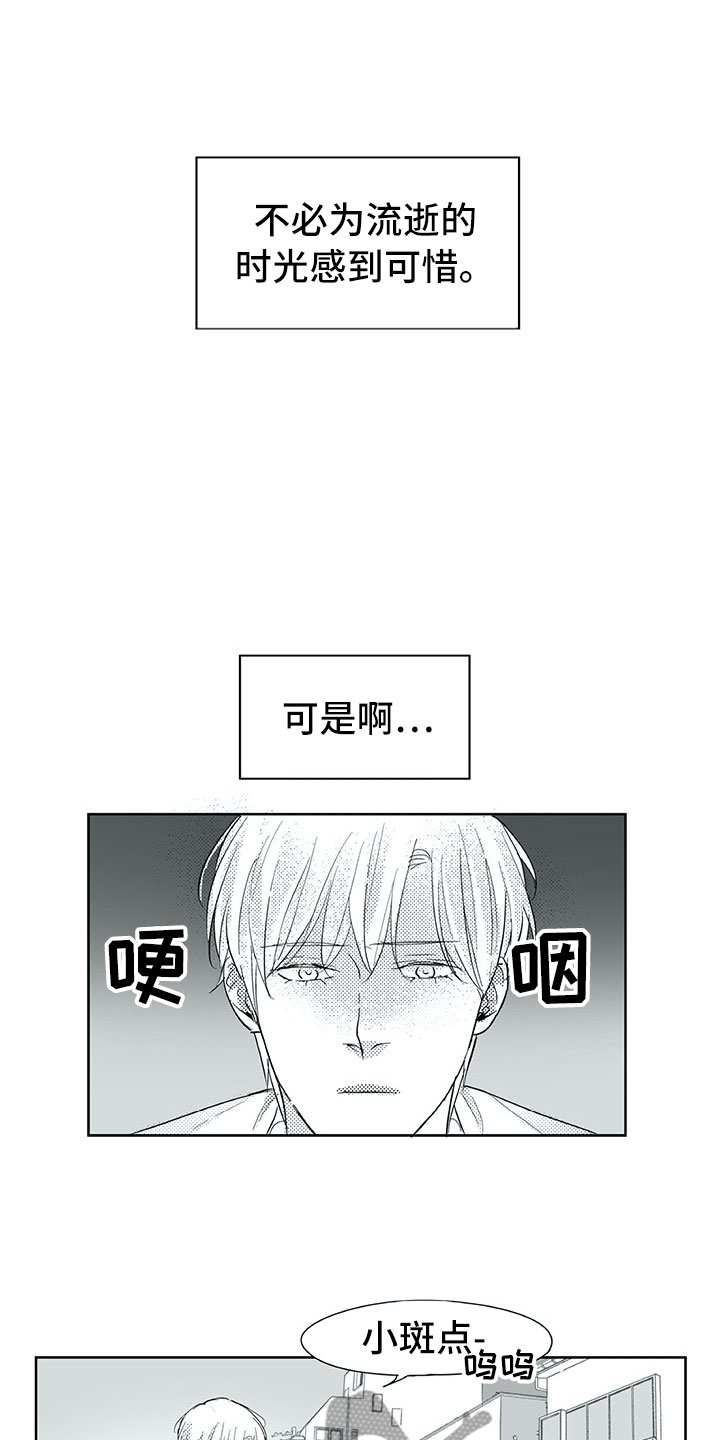 第29话11