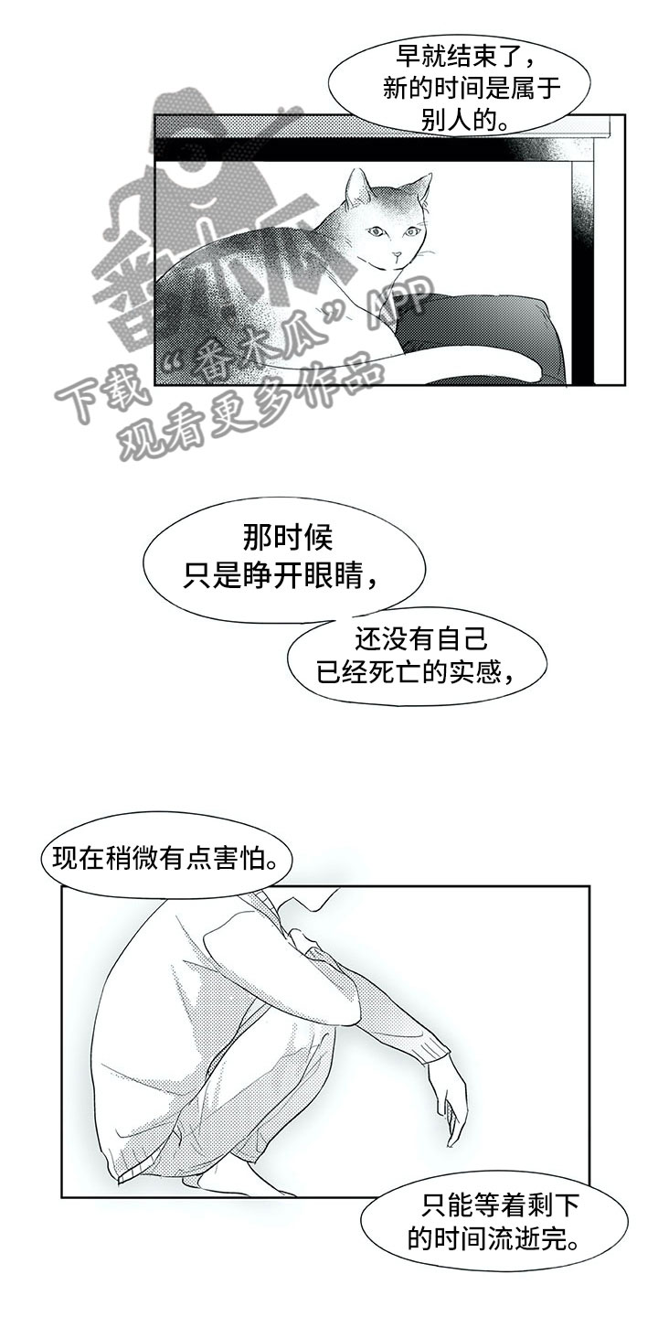 第29话14