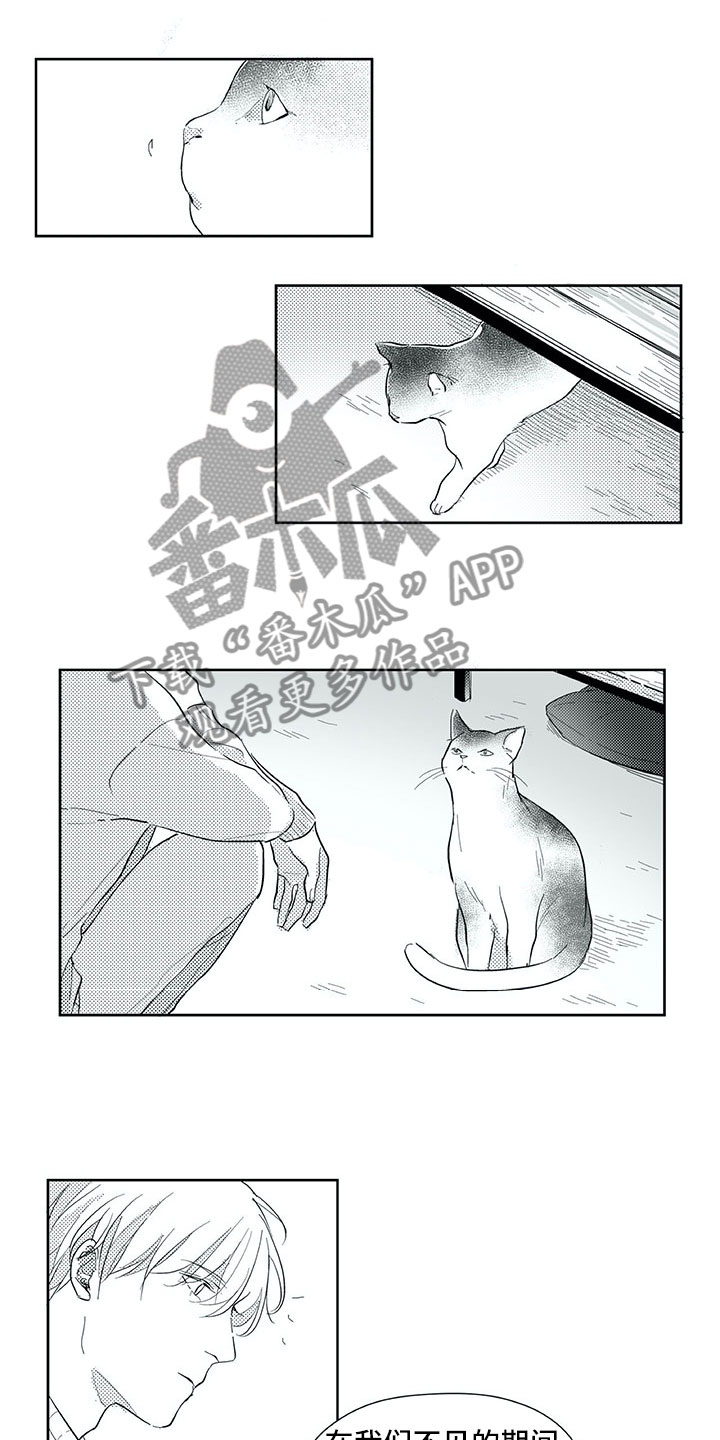 第29话15