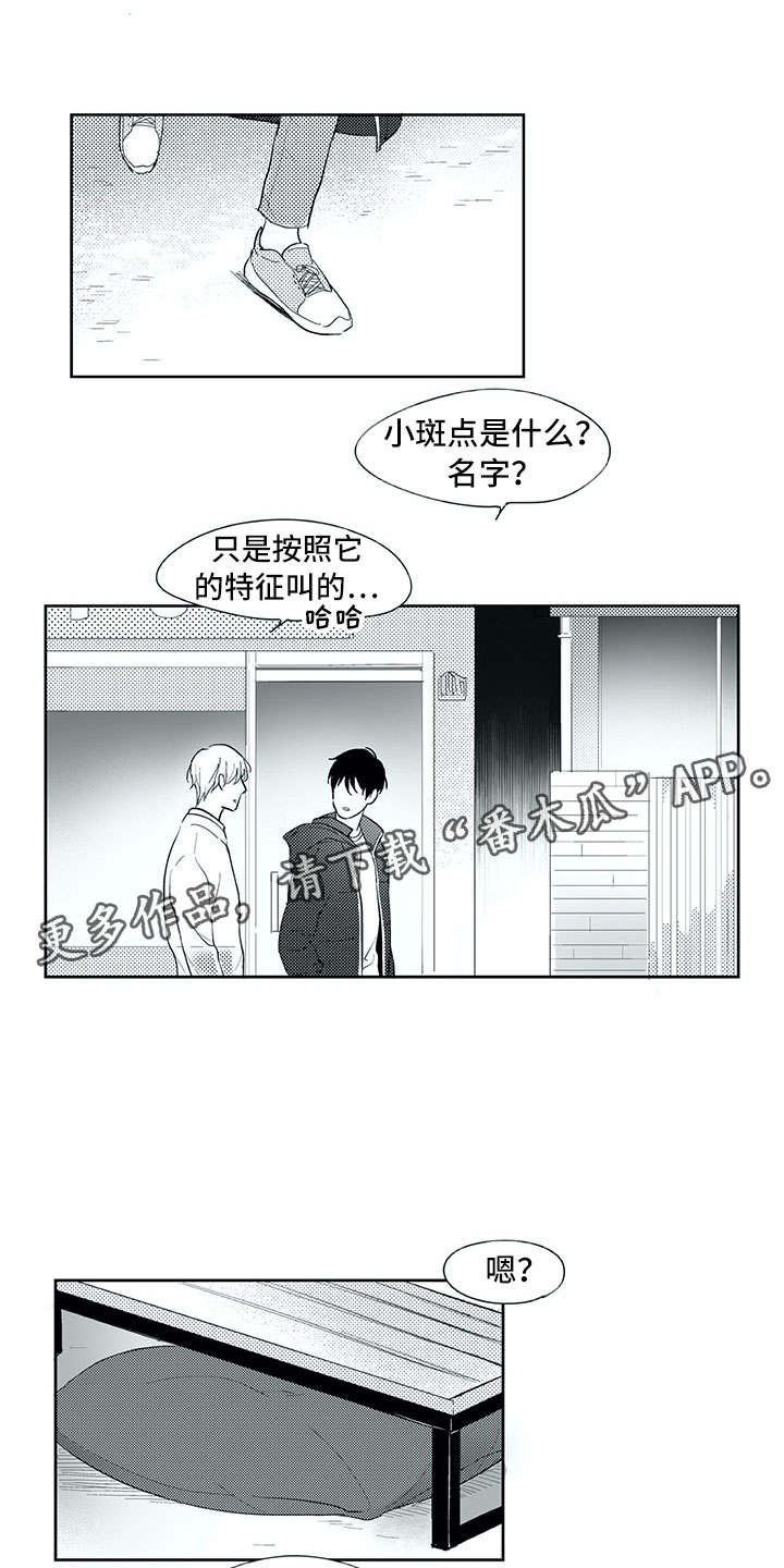 第24话9