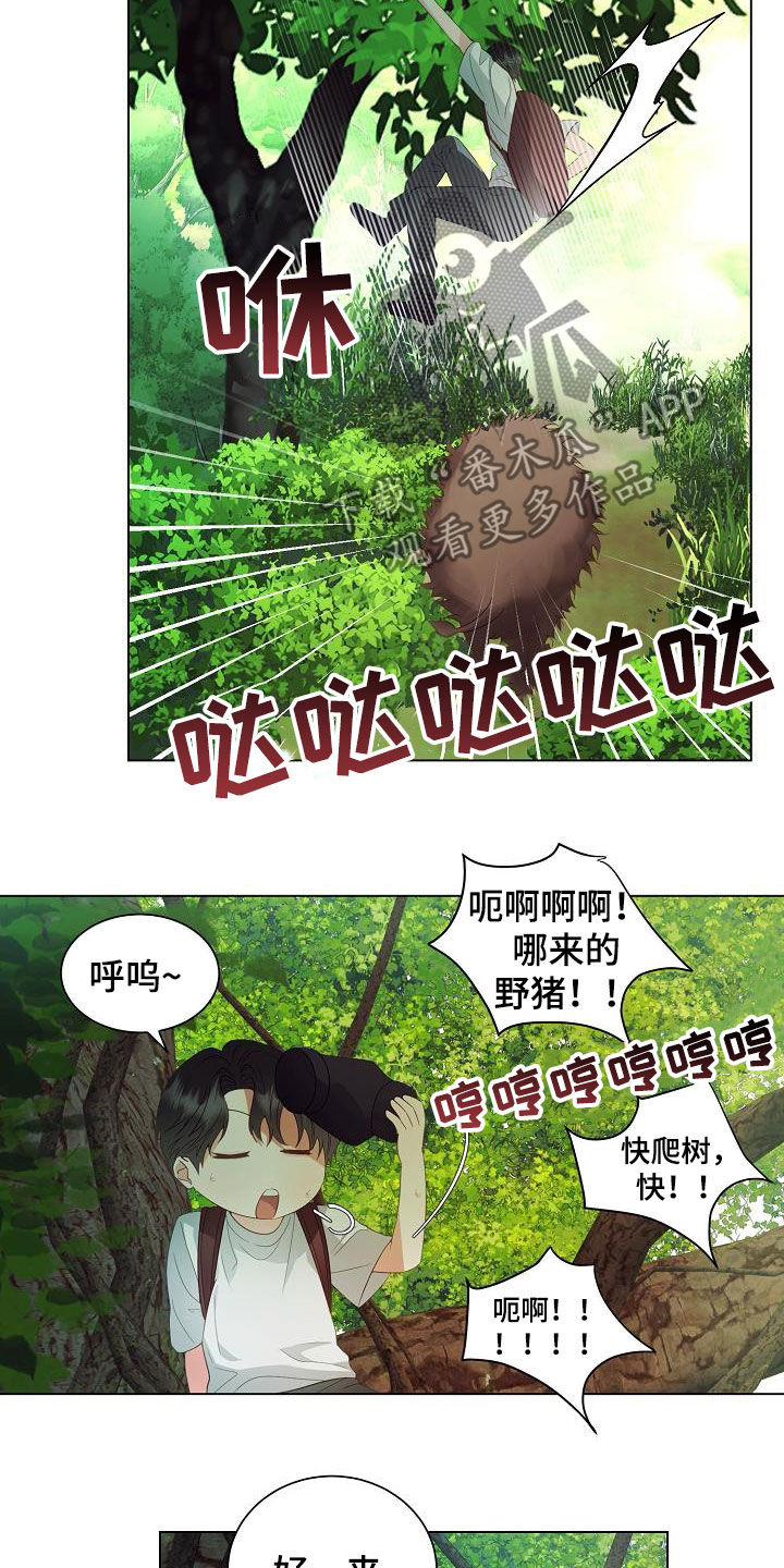 第50话12