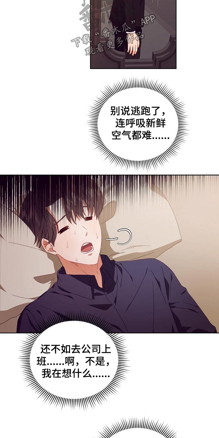 第29话17