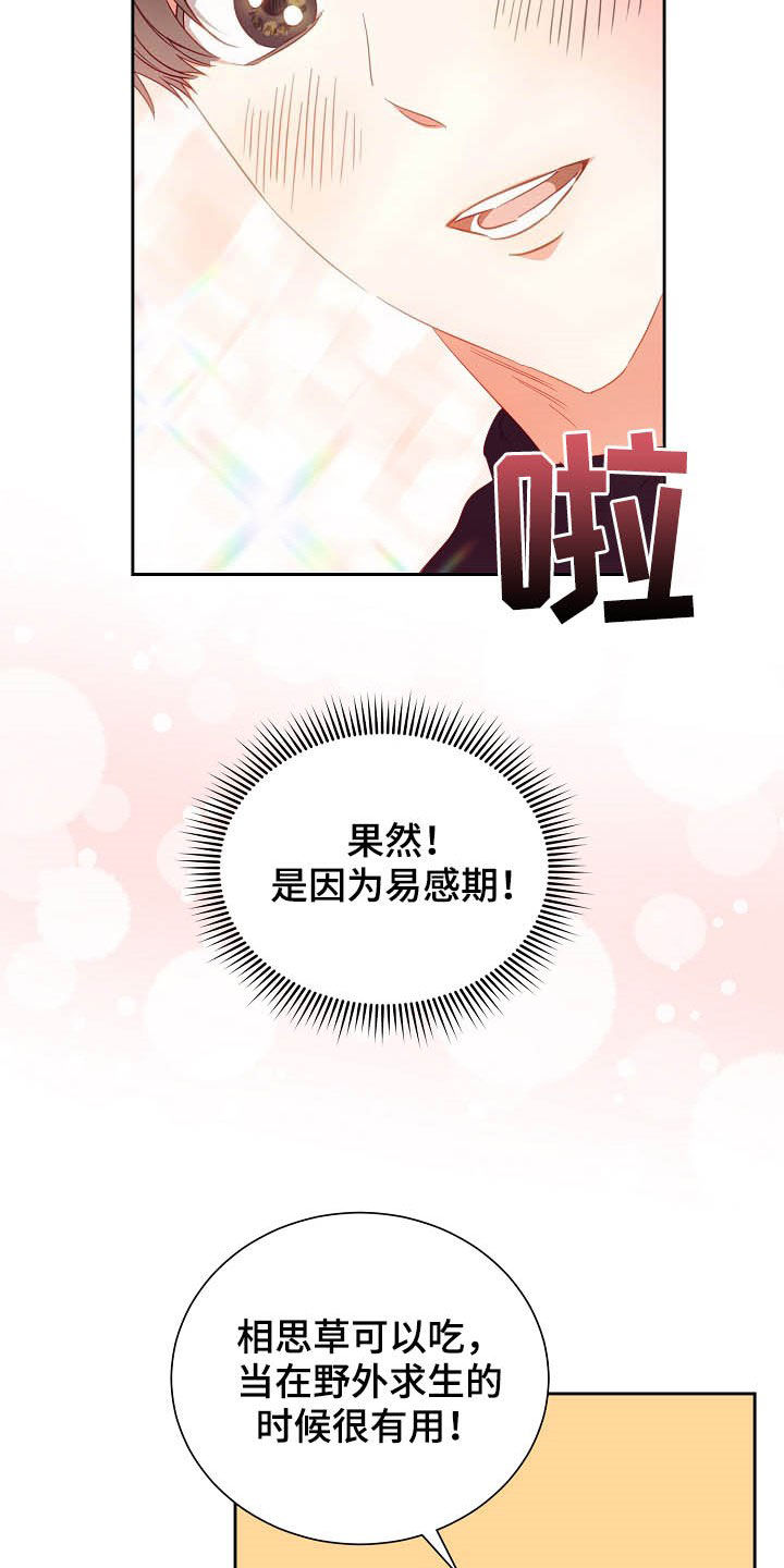 第24话1