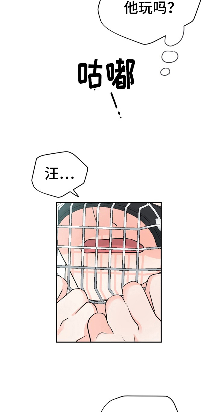 第11话6