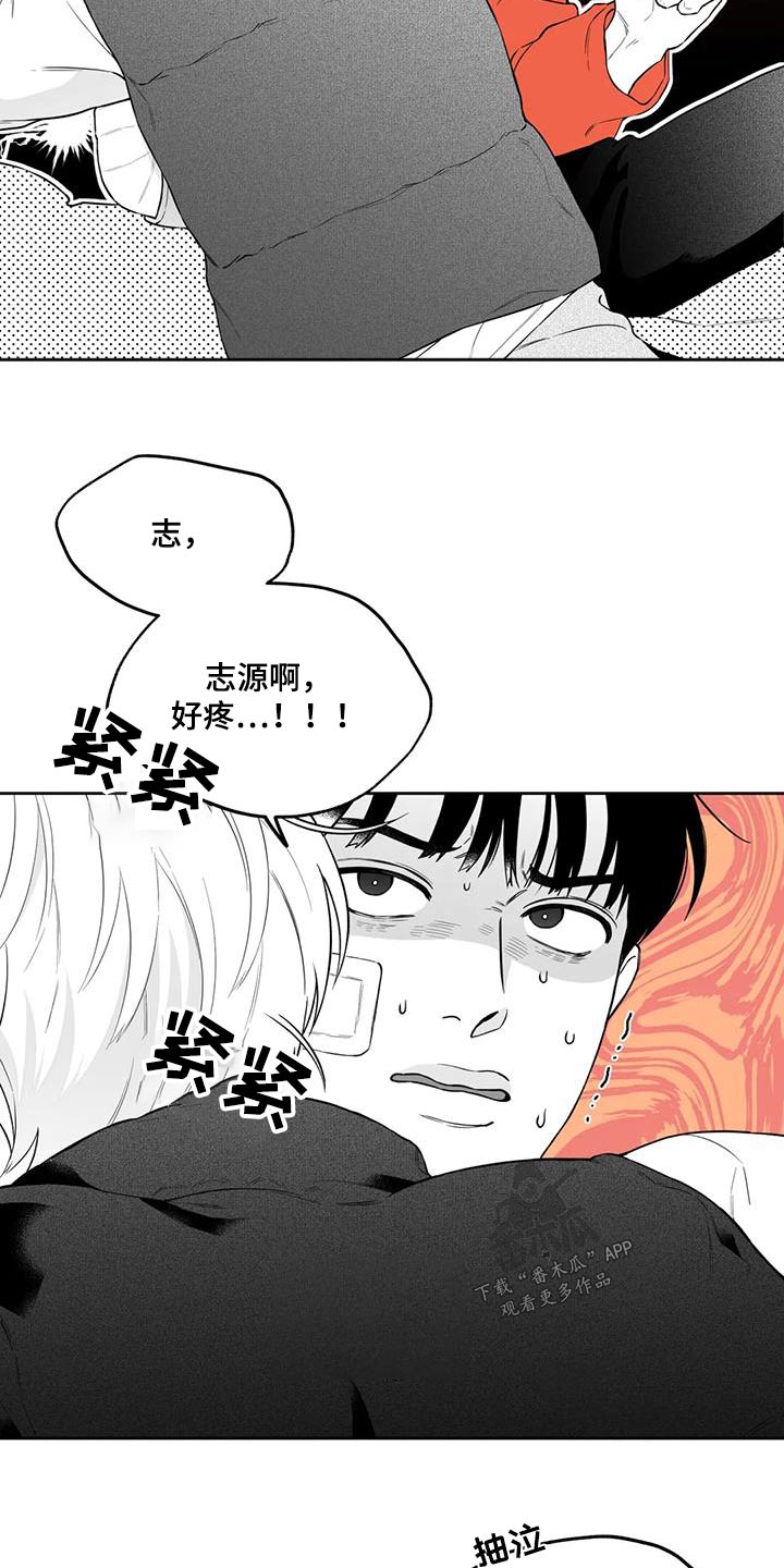 第126话1