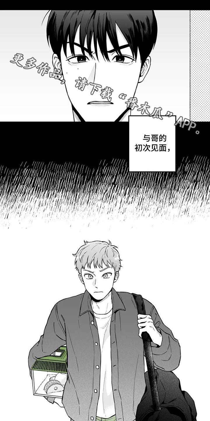 第98话0