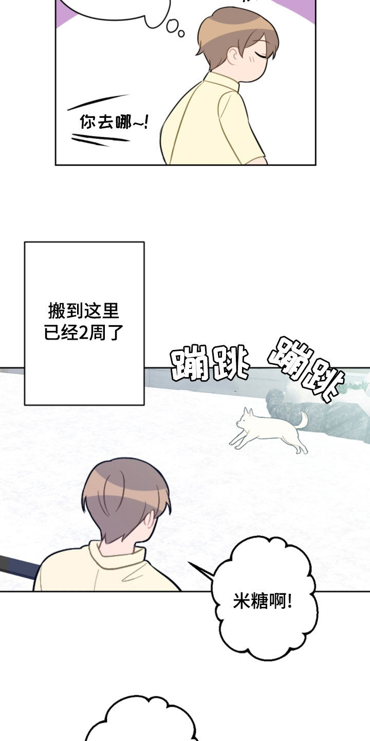 第124话17