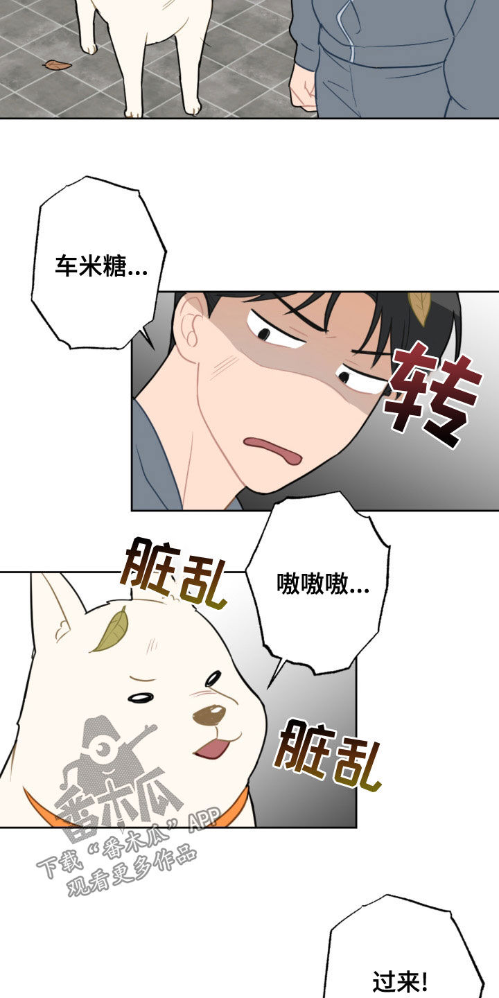 第123话16