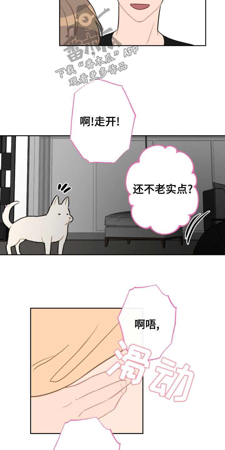 第120话16