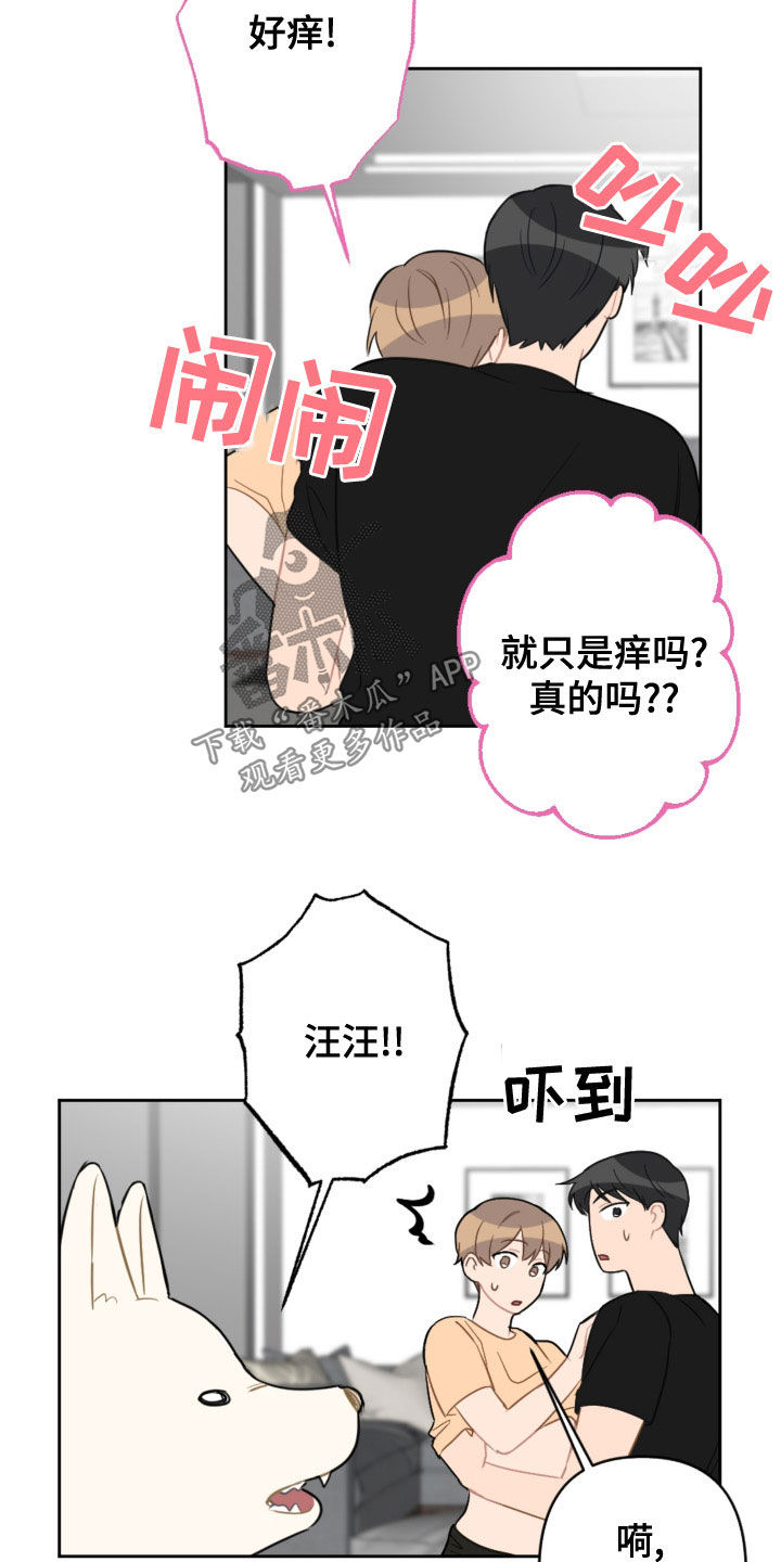 第120话17